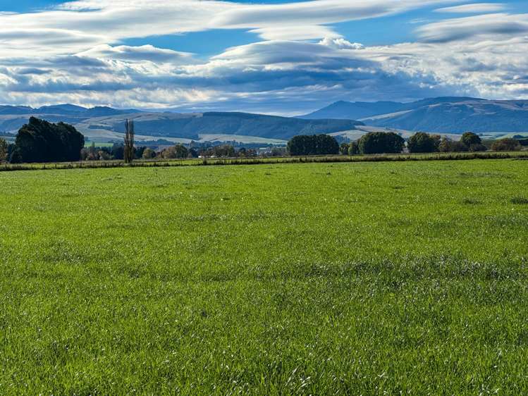 80 McDonald Road Wendonside_3