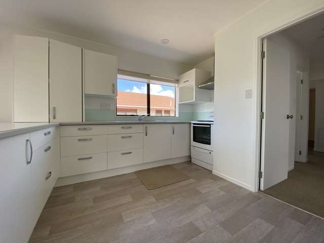 2/5 Allenby Road Panmure_3