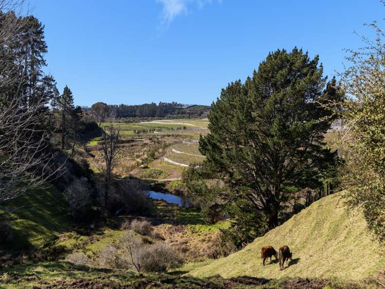 95c Wright Road Aongatete_22