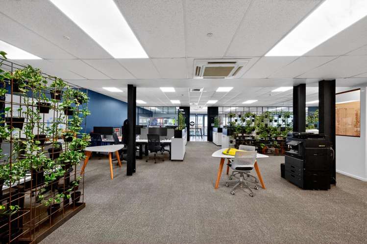 Units 6 and 19/49 Sainsbury Road Mt Albert_2