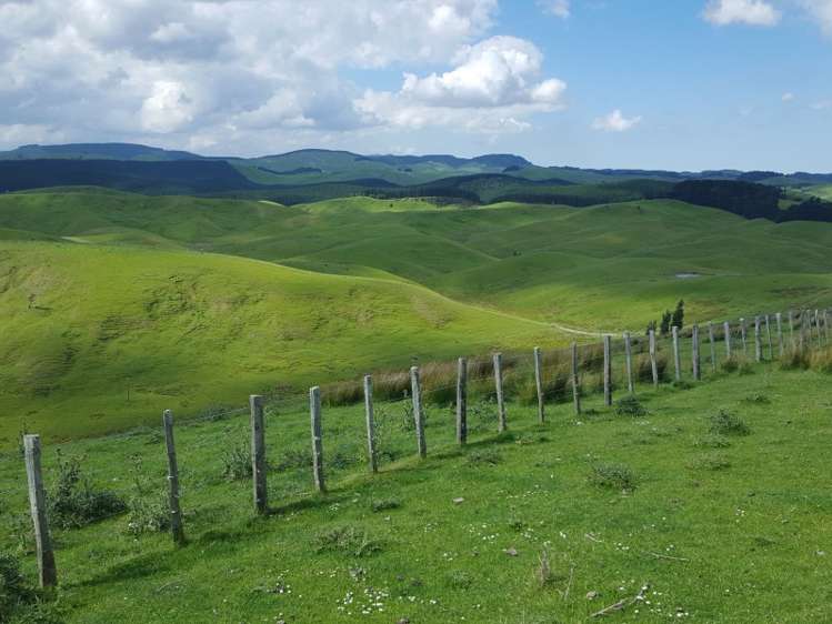 602 Esdaile Road Pongaroa_2