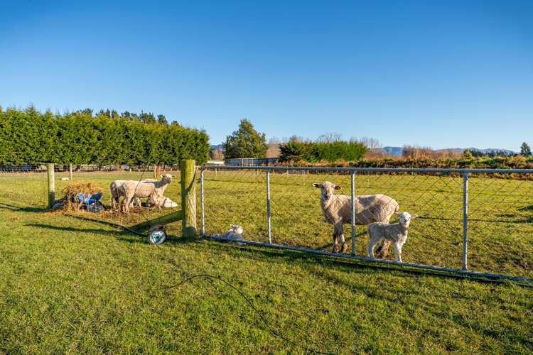 14 Bathgates Road Waimate_27