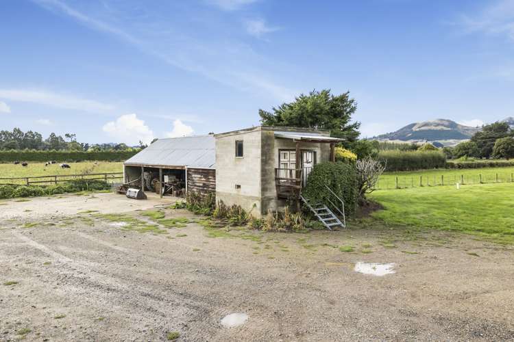 310 Bush Road Mosgiel_24