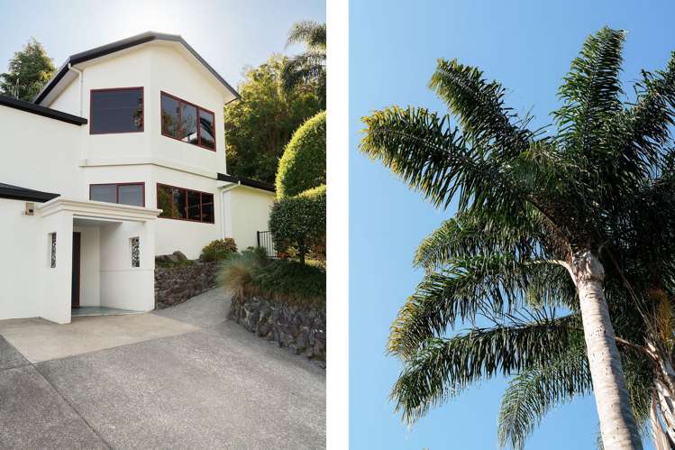 27 Westridge Drive Tauriko_17
