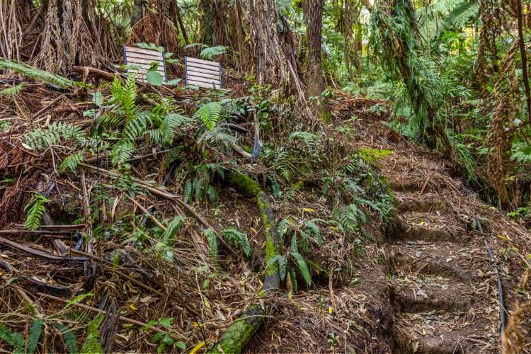 1694a Queen Charlotte Drive Linkwater_13