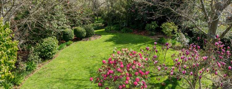 7 Endeavour Street Nelson South_9