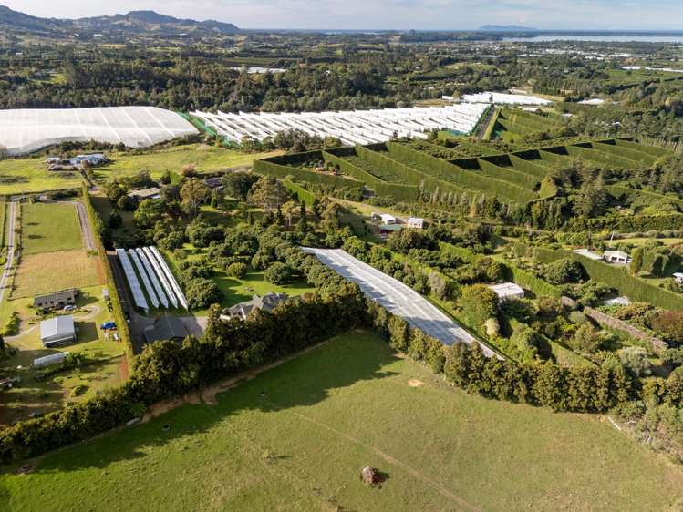 241 Rea Road Katikati_33