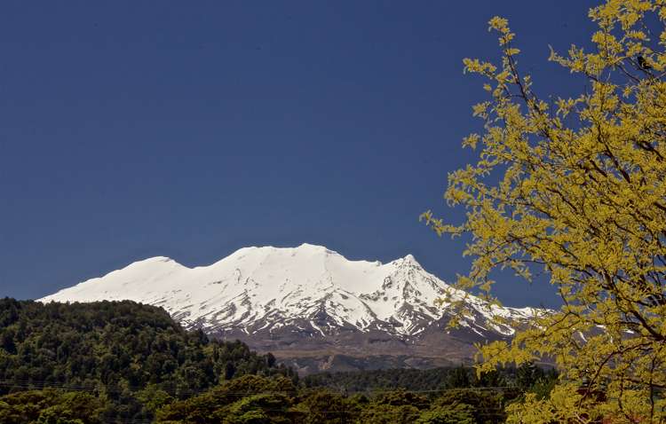 21a Moore Street Ohakune_19