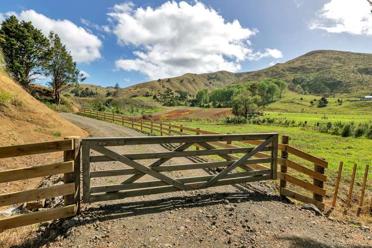 1628 Omana Road Tangiteroria Kaipara Rural Property For Sale