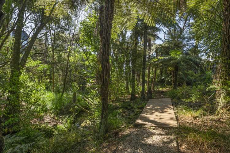 115e Woodglen Road Glen Eden_17