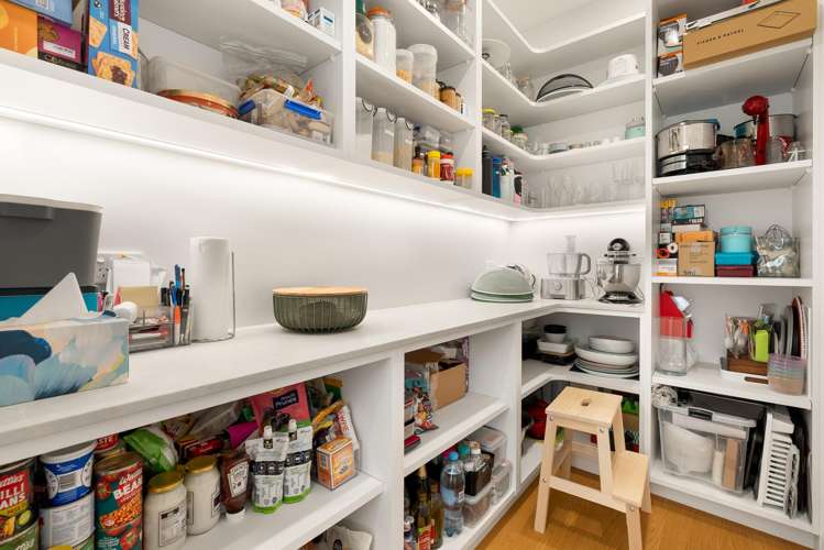 7 Huntingtree Avenue Sandringham_17