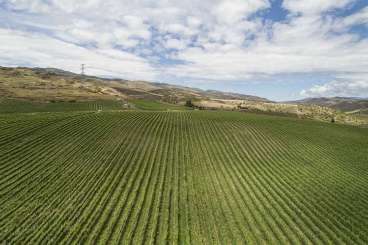 Cairnmuir Road Nevis_10