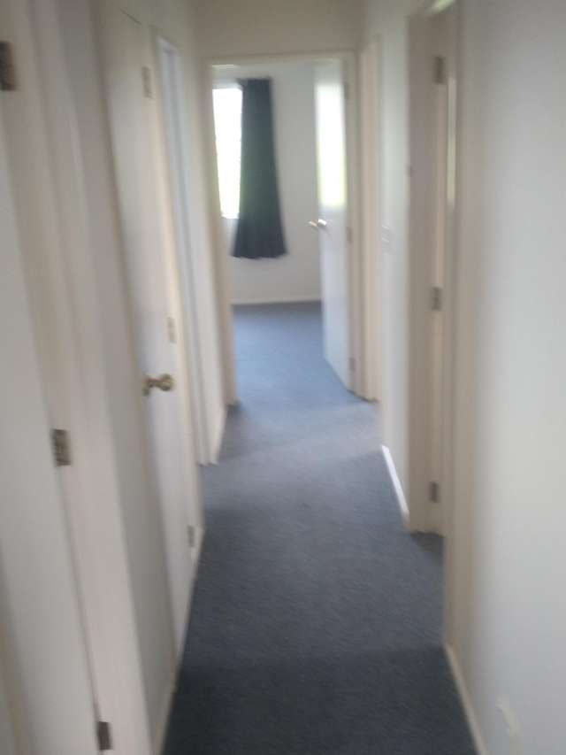 155 Tramline Road Kaihere_4