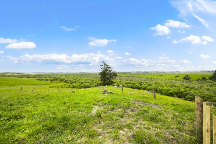 426 Island Block Road Te Kauwhata_10