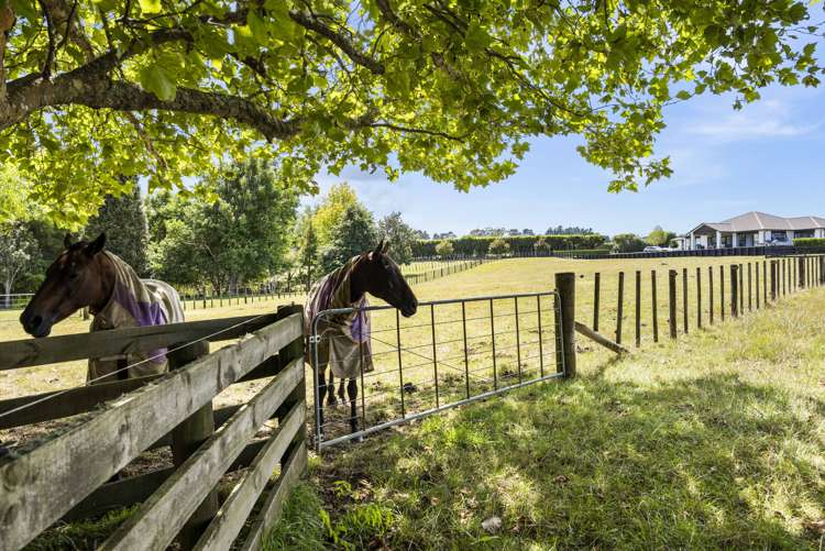 134 Logan Road Buckland_41