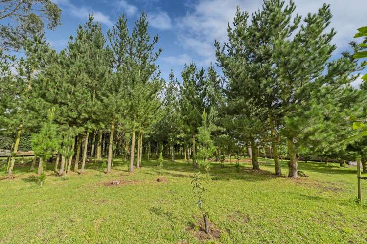 31 Tramway Road Kirwee_7