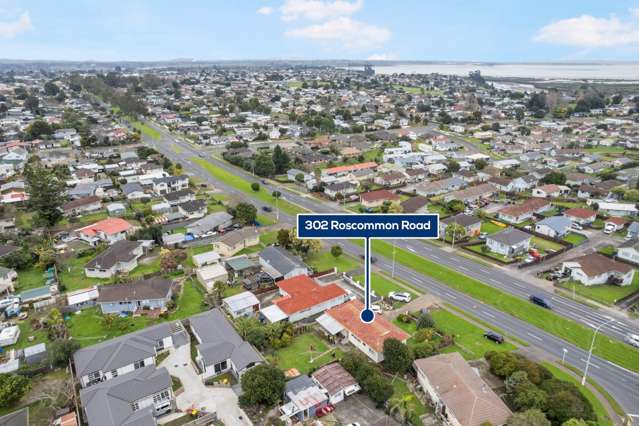 302 Roscommon Road Clendon Park_3