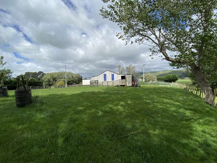 9 Buckley Road Shannon_10