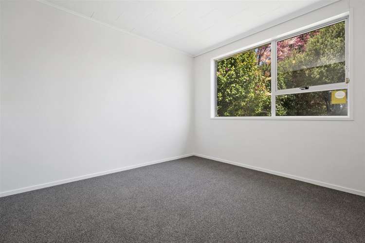15a King Street Te Puke_8