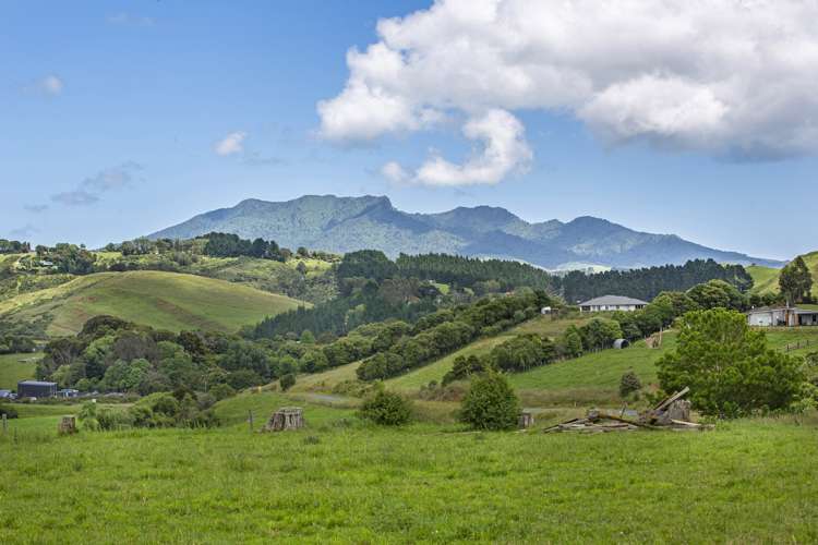 3956A State Highway  23 Raglan_8