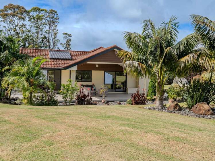 3A Macadamia Lane Kerikeri_13