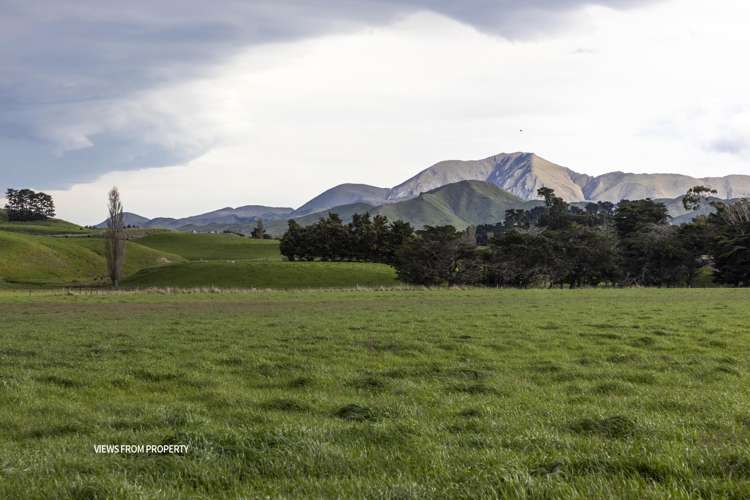 18 Clermont Street Ward_31