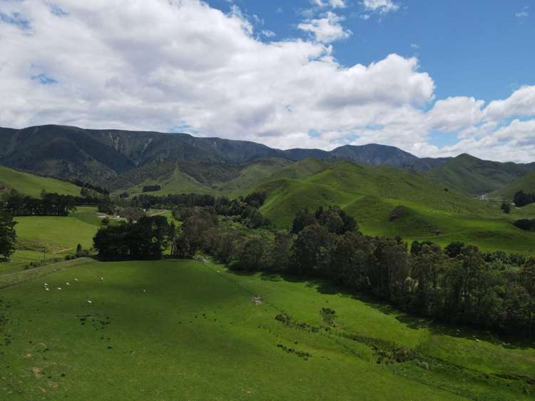 Lot Lot 1/9 Tamaki East Road Dannevirke_20