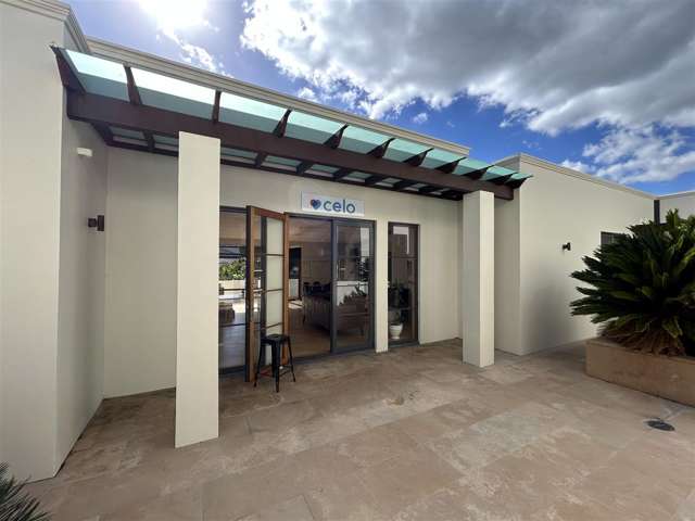 63 Ponsonby Road Grey Lynn_1