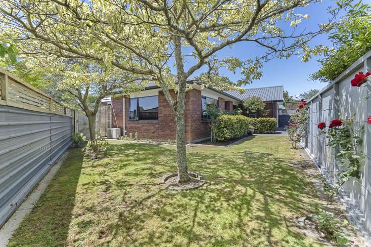 271a Carrington Street Vogeltown_19