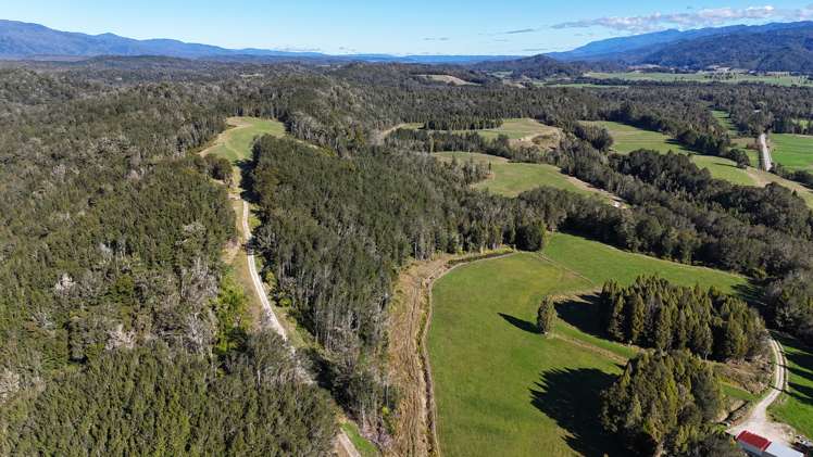 850 Browns Creek Road Inangahua_10