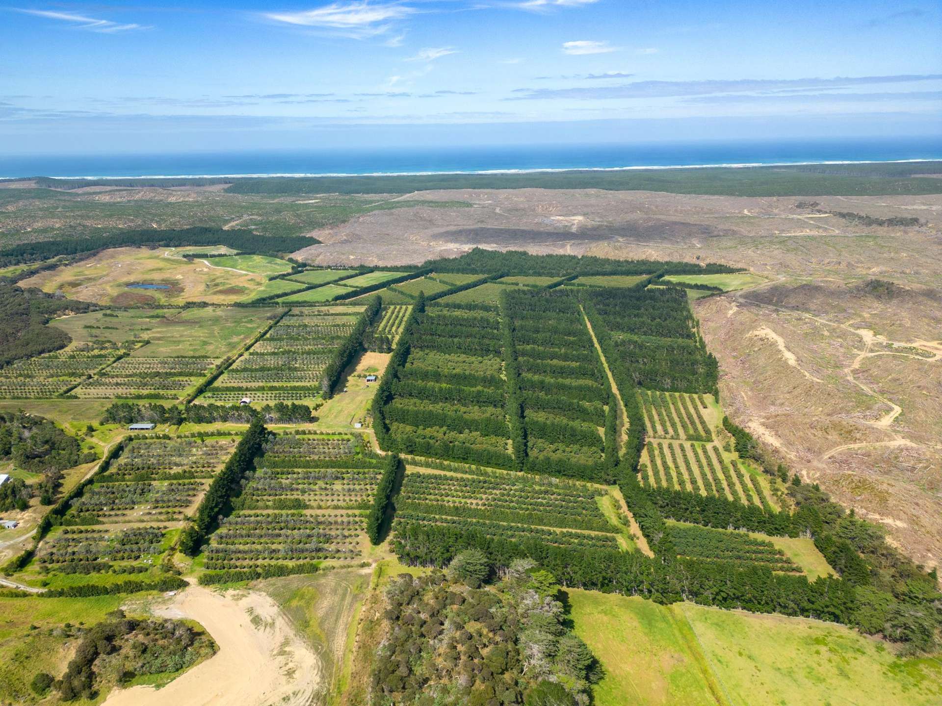 373 Kimberley Road Ngataki_0