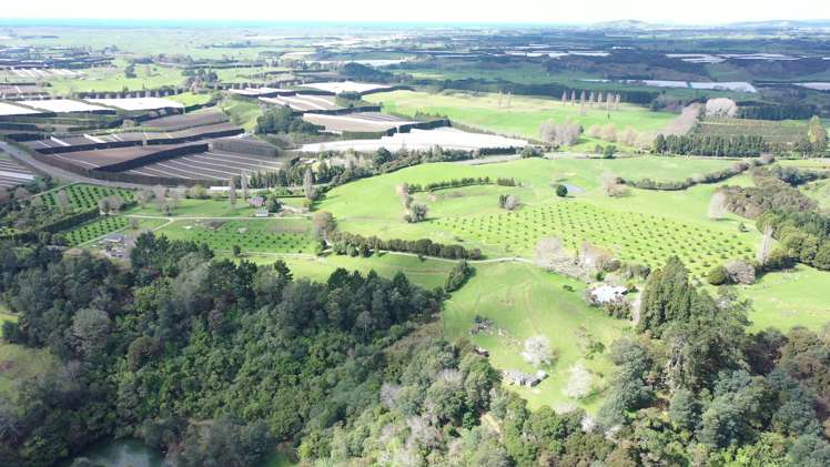 State highway 33 Paengaroa_6