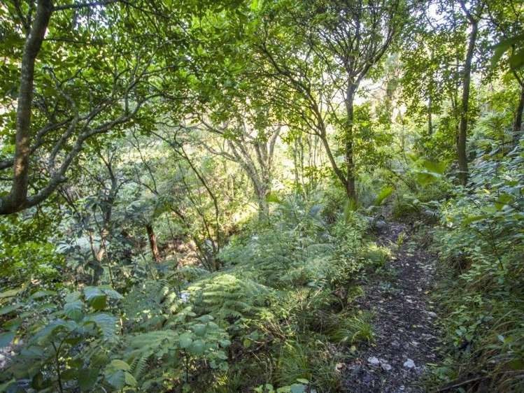 18 Patui Avenue Ngarimu Bay_22