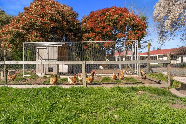 809 Lower Queen Street Richmond_26