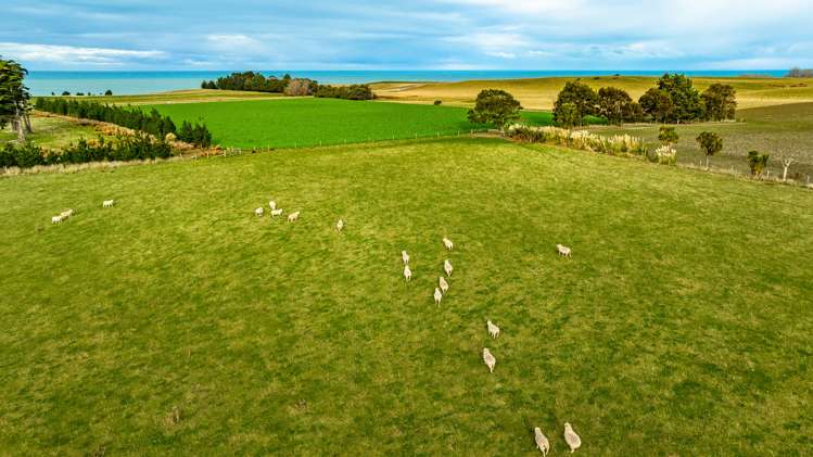 1553 Happy Valley Road Motunau_47