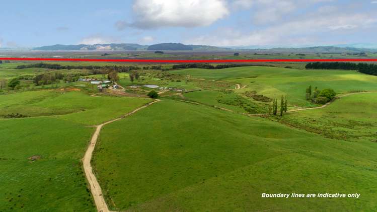 44 Black Road Te Kauwhata_19