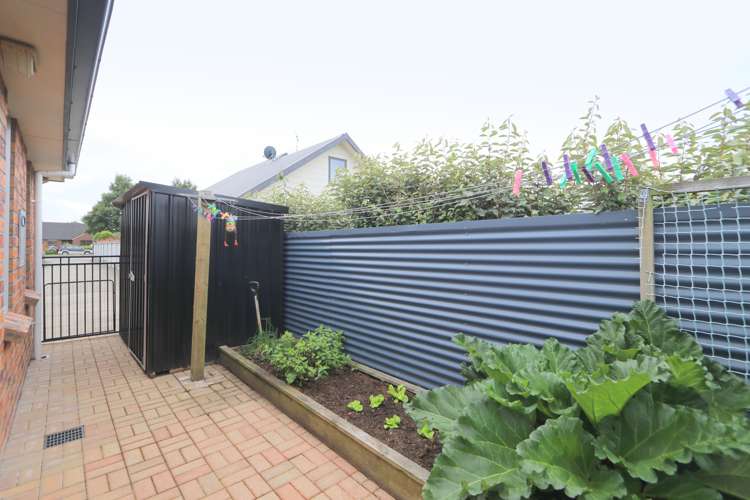 387 Herbert Street Windsor_26