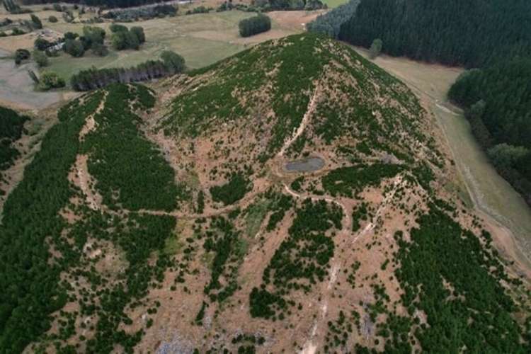 3525 Masterton Castlepoint Road Mangapakeha_7