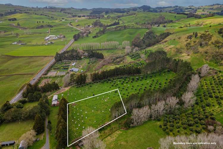 548B Waihi Whangamata Road Waihi_5