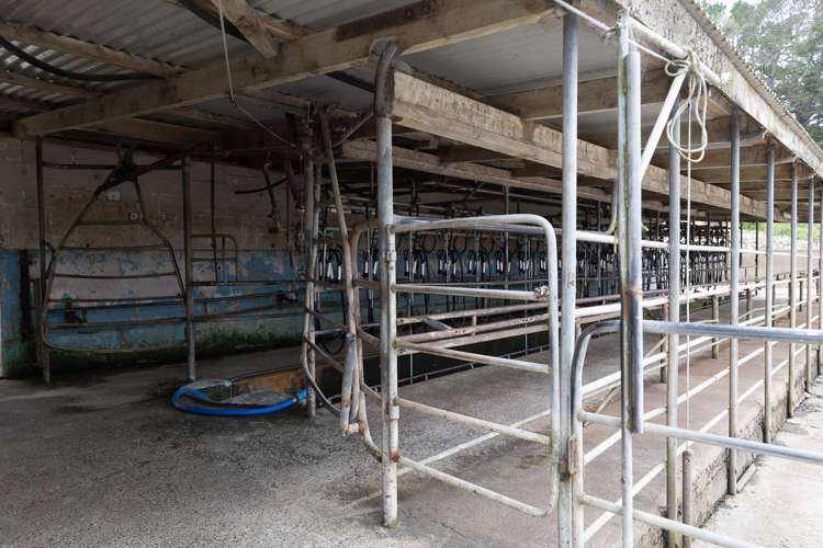 136 Simpkin Road Ruawai_5