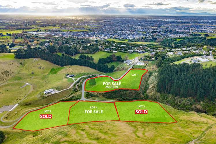 Lot 1, 10 Kapuka Lane_3