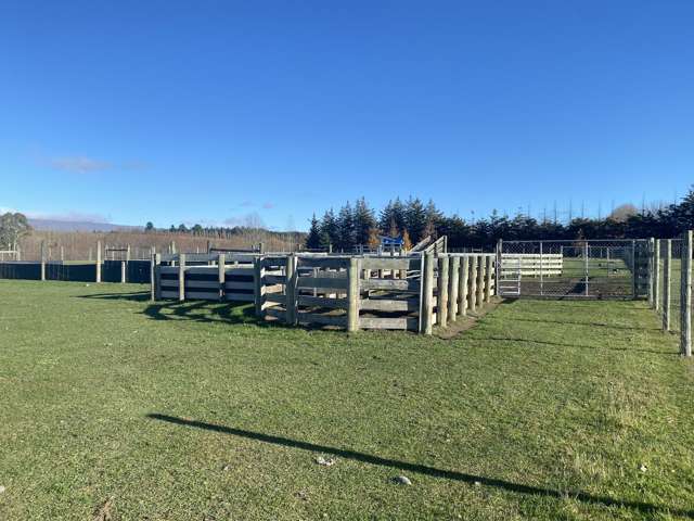 Lot Lot 2,/562 Manuherikia Road Alexandra_3