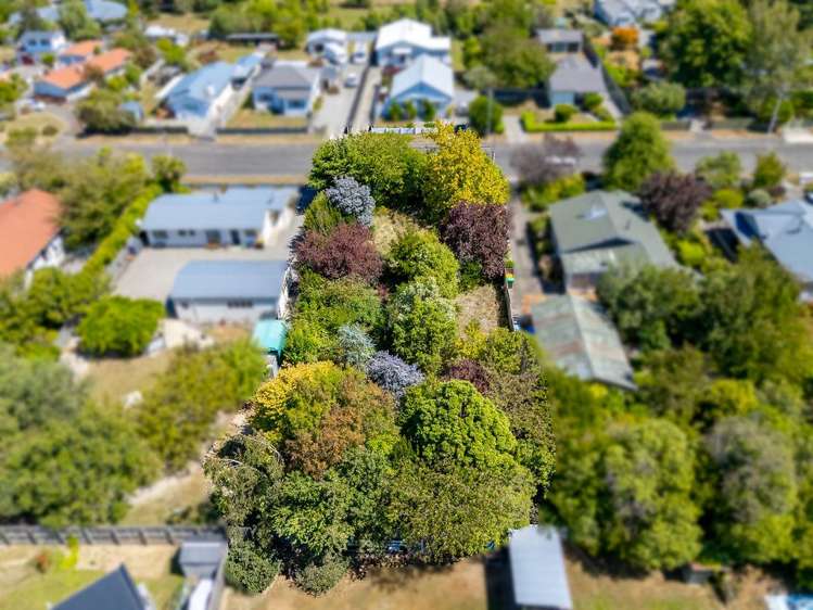 26 Philip Street Carterton_6