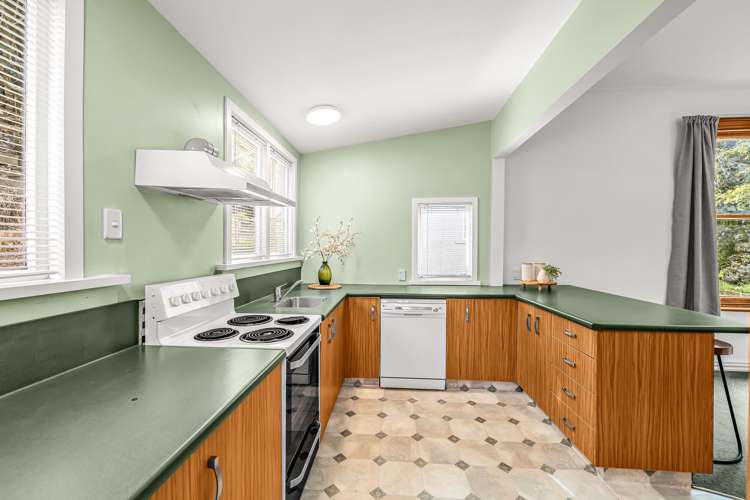 22 Thomson Street Lookout Point_5