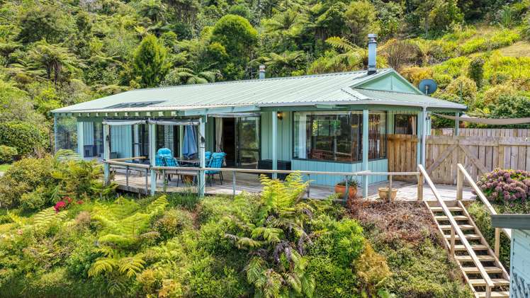 39 Te Ana Lane Thames_2