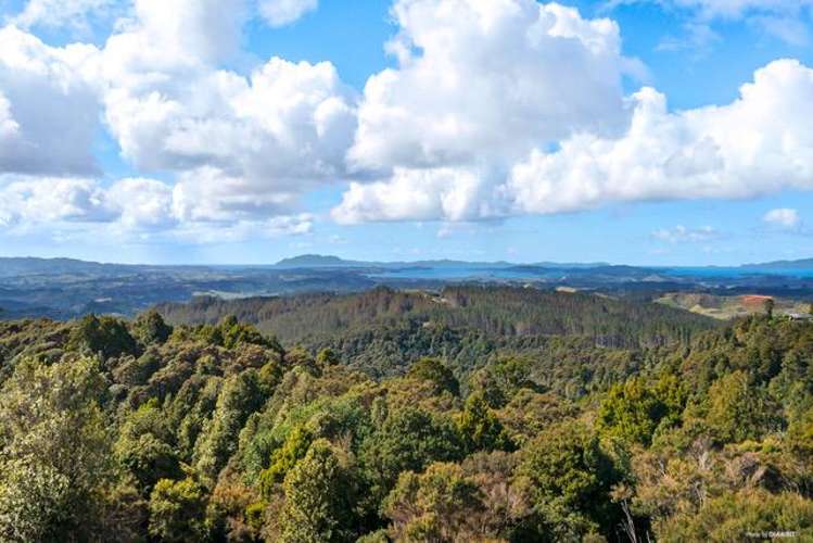 452 Moir Hill Road Warkworth_0