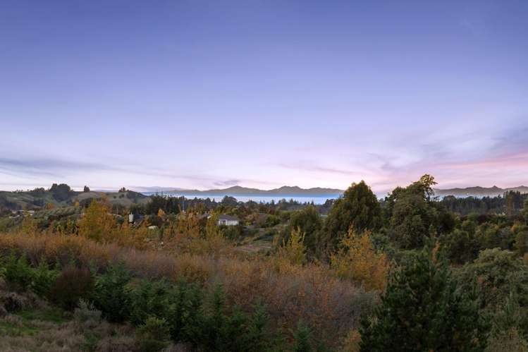 12 Harley Ridge Tasman_21