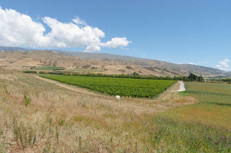 9 Awahokomo Road Kurow_7