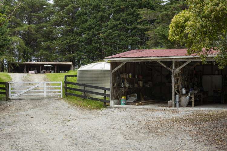 162 Haumanga Road Kaitaia Surrounds_24