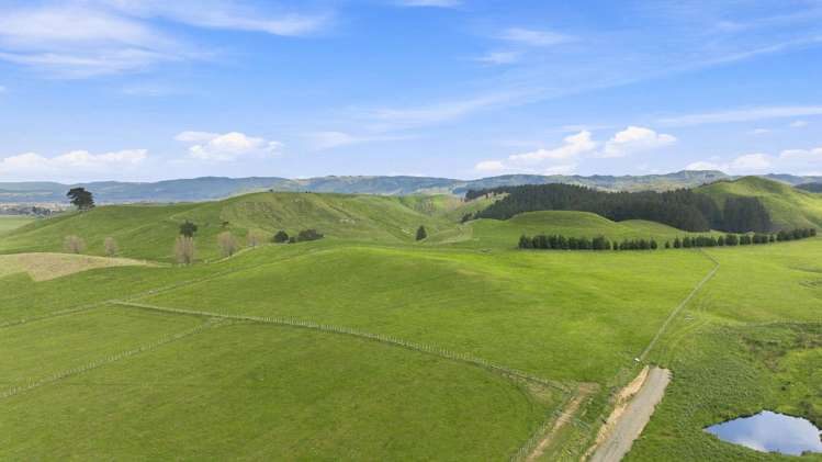 447 Pinfold Road Papatawa_8